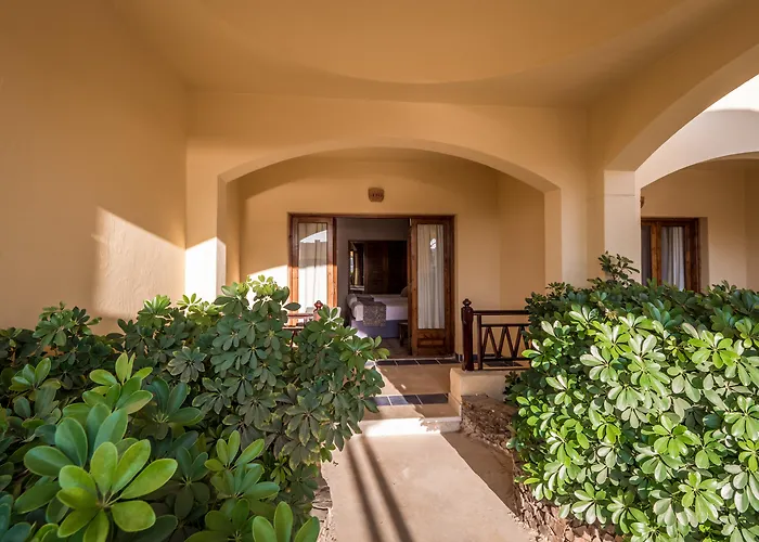 Sunny Days El Palacio & 4* Hurgada